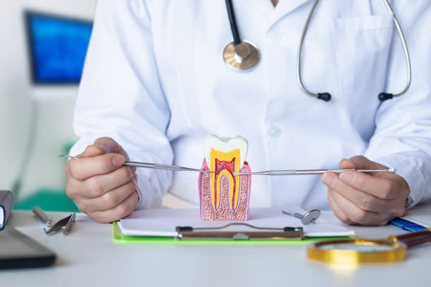 Best Emergency Gum Pain Relief  in Cottonwood, AL